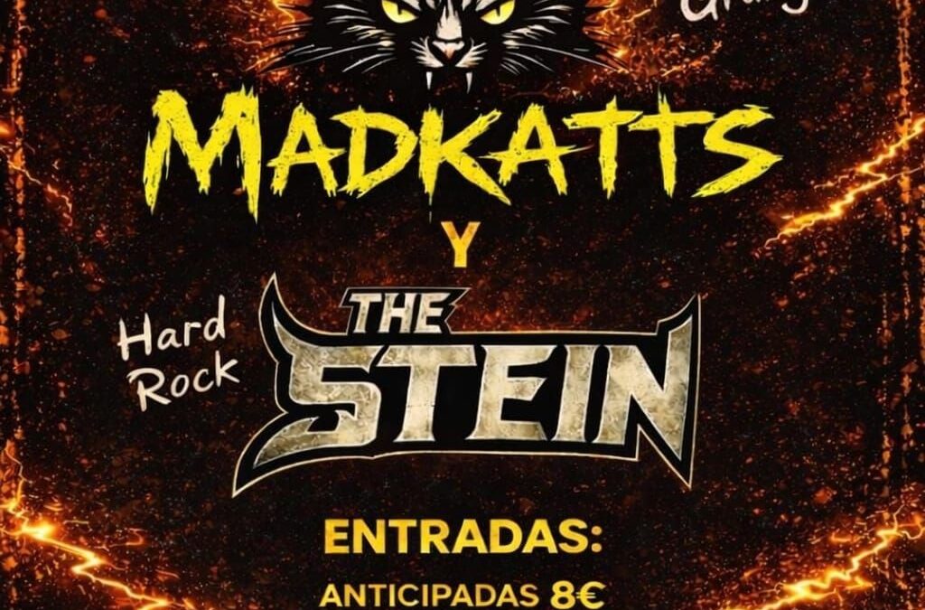 MadKatts + The Stein