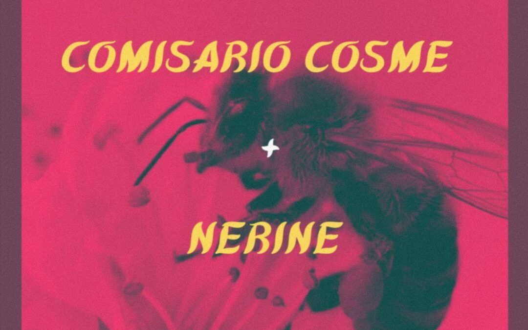 Comisario Cosme + Nerine